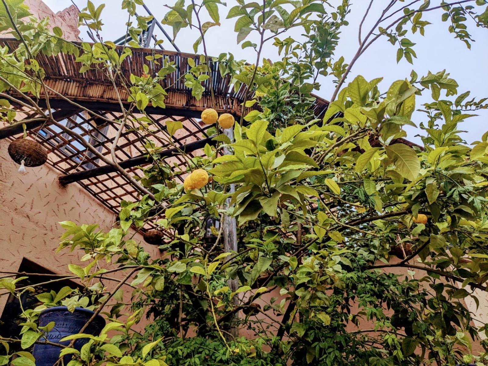 Dar Soulaimane 호텔 Asguine 외부 사진