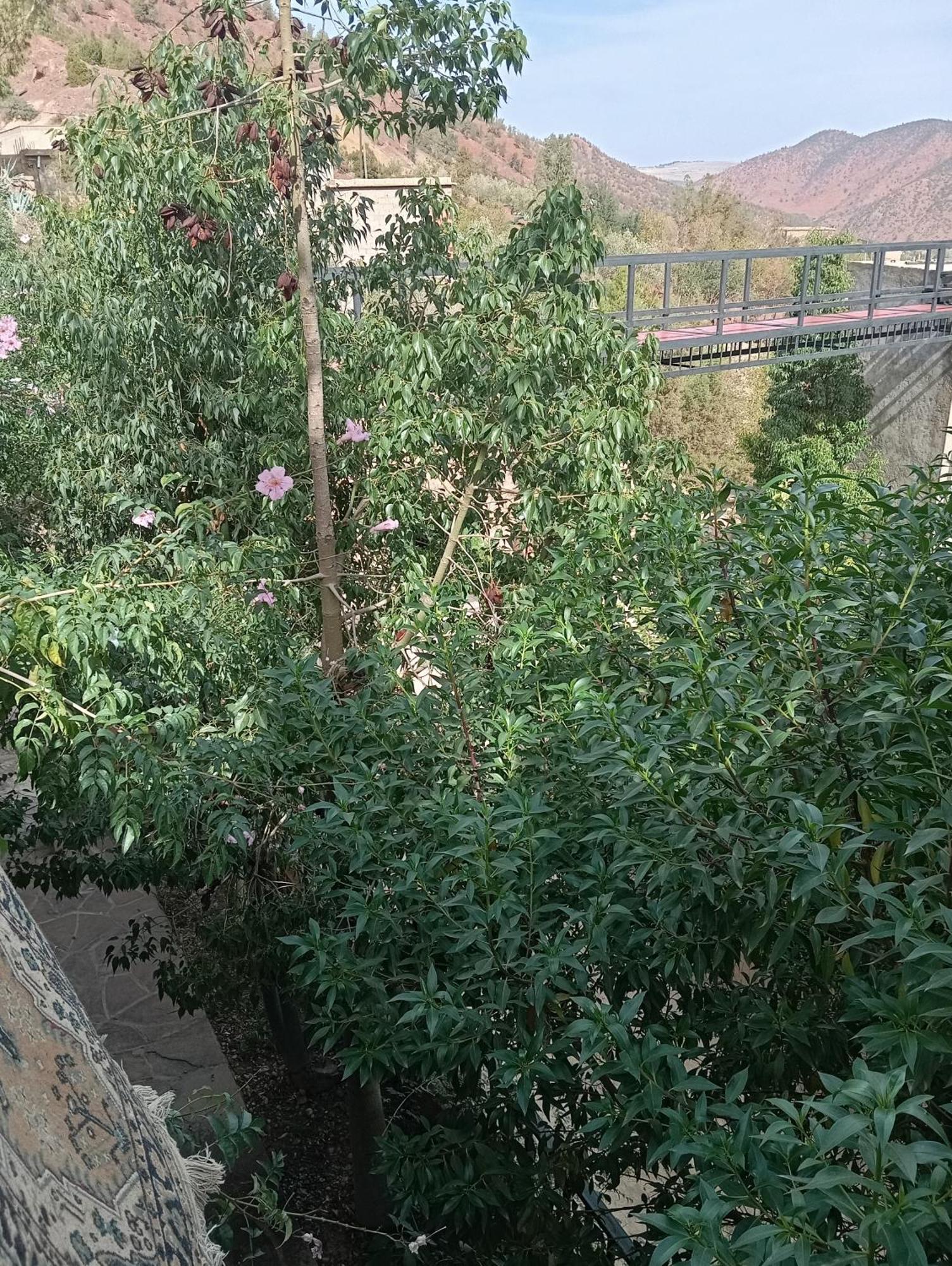 Dar Soulaimane 호텔 Asguine 외부 사진